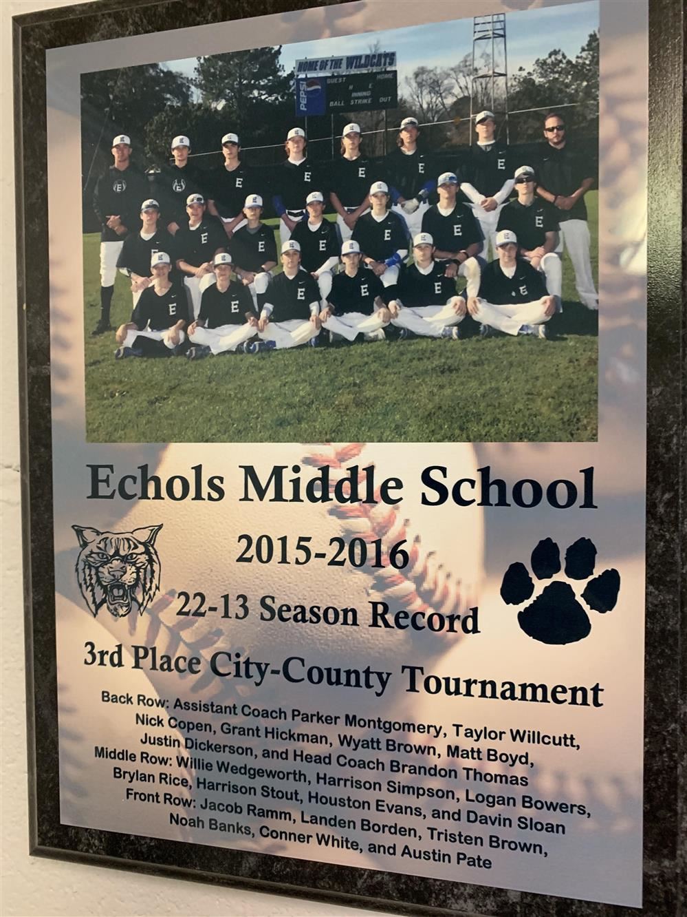 Plaque